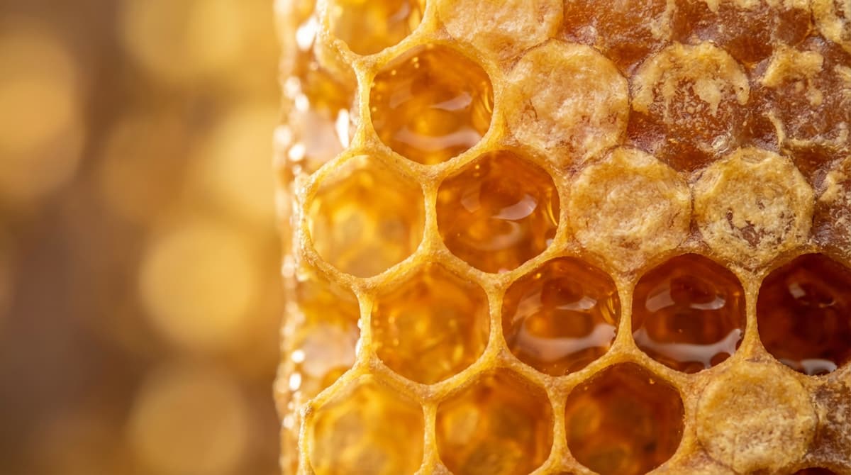 Натуральные соты с мёдом